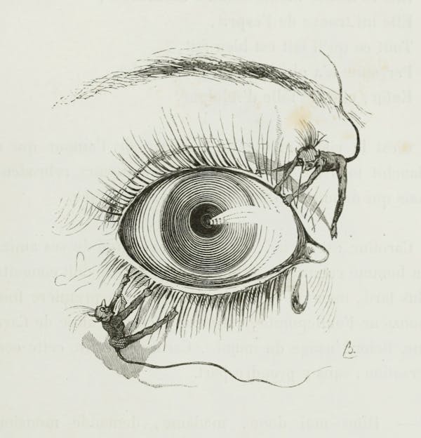 Warburg’s Werewolf: An Anamnesis
